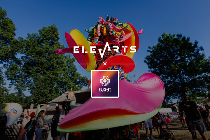 Flight Festival